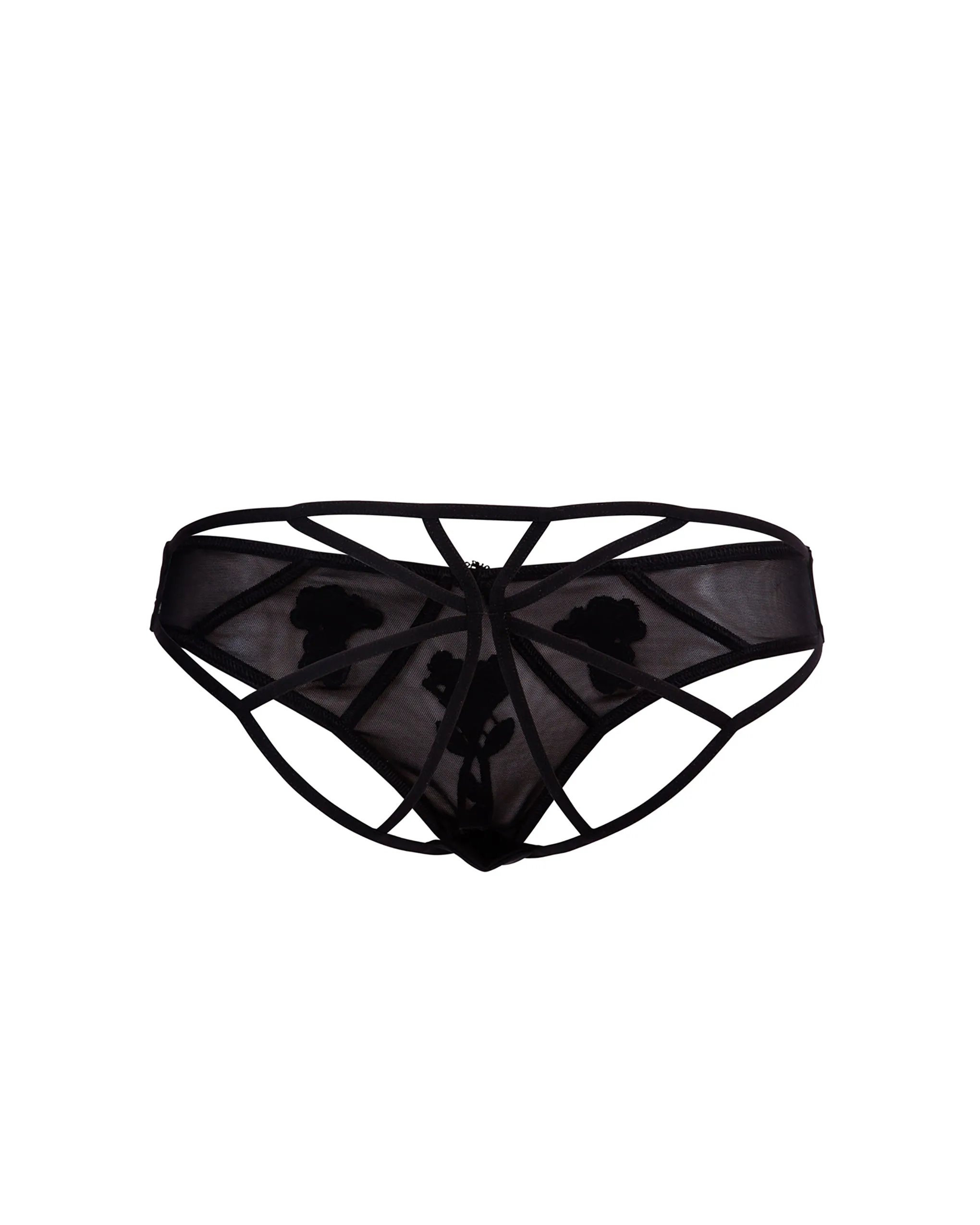 Nova Brief Black