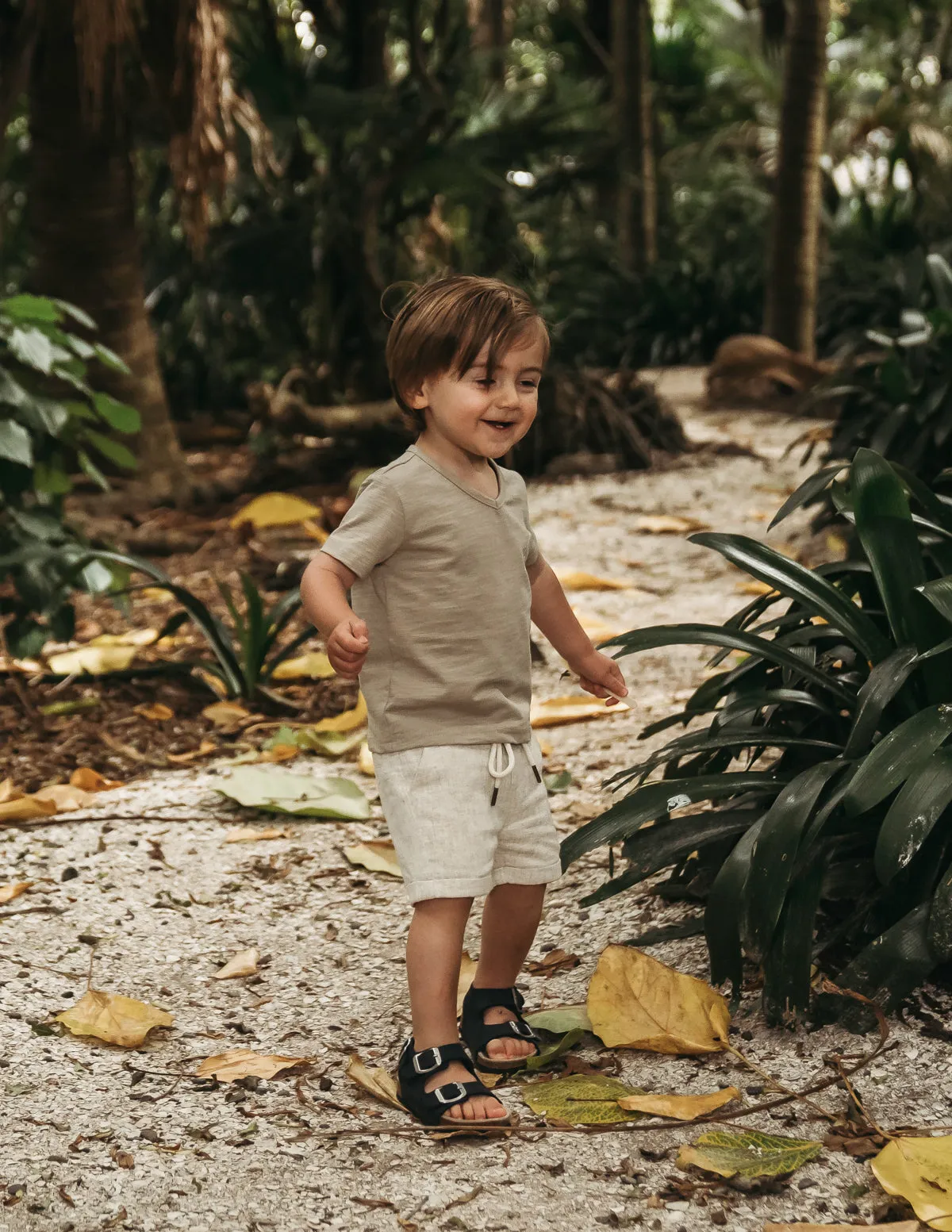 Ollie Boys Shorts - Sand Dune